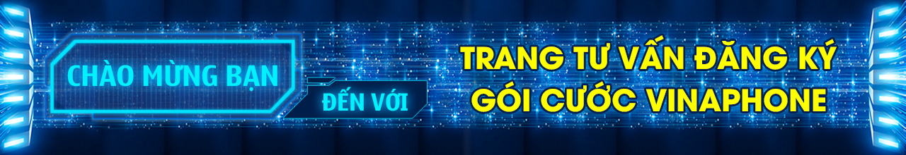 Banner Vina