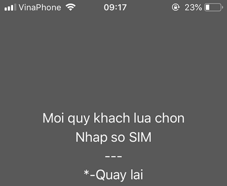 Hướng dẫn chuyển sim thường thành eSim Vinaphone miễn phí nhanh chóng nhất